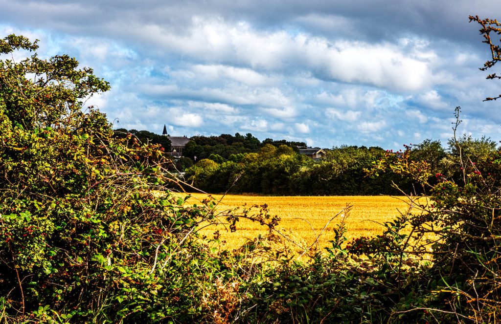 View of field with church in the distance against bright blue sky